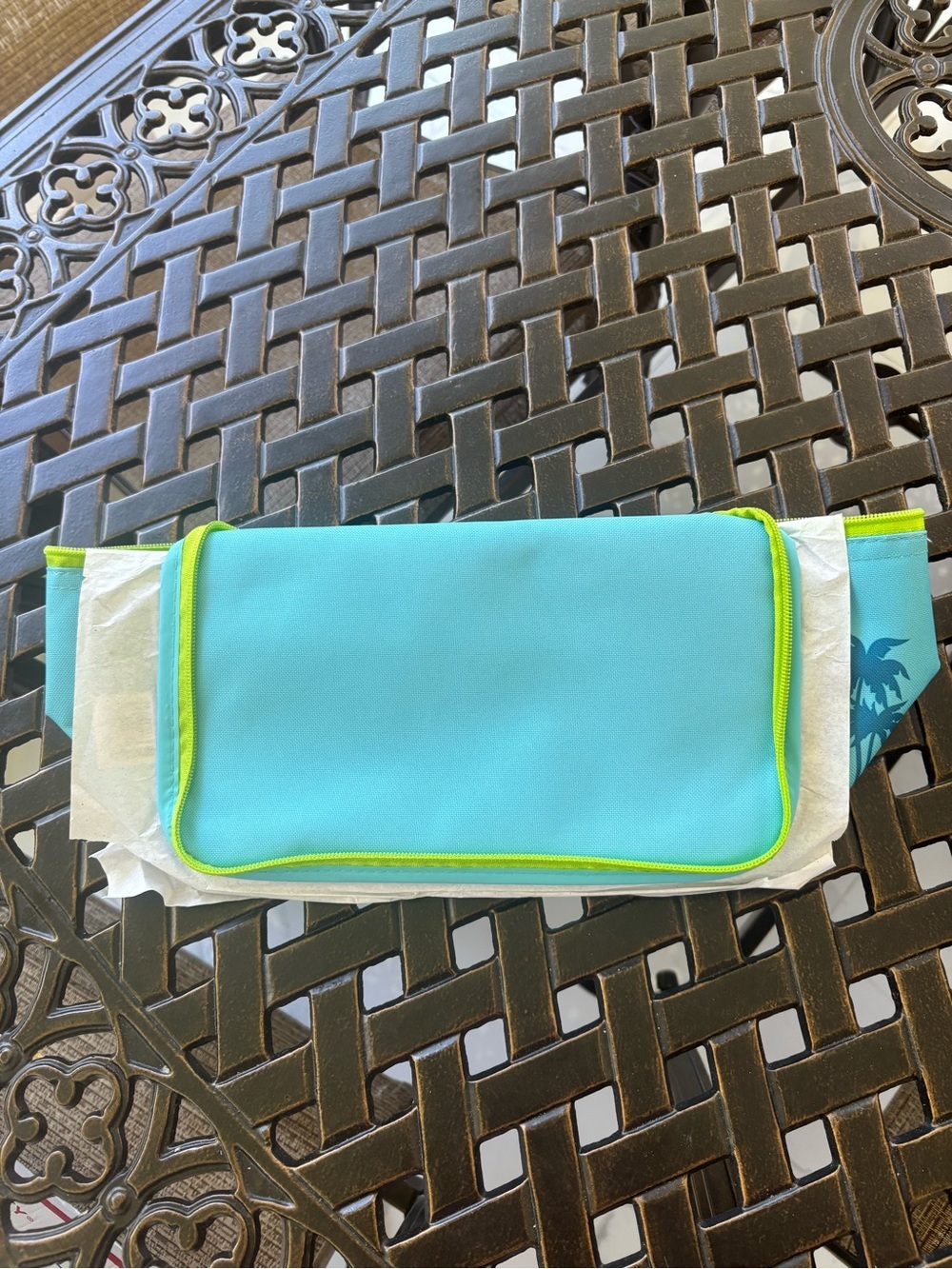 Blue and Green Trader Joe’s lunch tote